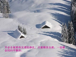 不必去做那些无谓的挣扎，只要顺其自然，一切都会回归平静的。 