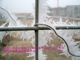 因此，何不活在当下，何不敞开心扉？去发现和 感受那些被我们忽视的美。 