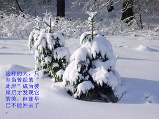 这样的人，只有当曾经的“此岸”成为彼岸后才发现它的美，但却早已不能回去了。 