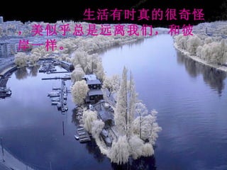 生活有时真的很奇怪，美似乎总是远离我们，和彼岸一样。 