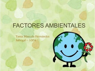 FACTORES AMBIENTALES
Tania Marcela Hernández
Sabogal – 1004
 