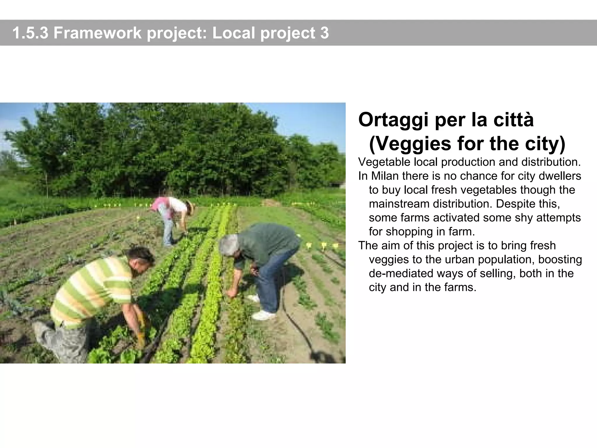 1.5.3 Framework project: Local project 3 Ortaggi per la città (Veggies for the city) Vegetable local production and distribution. In Milan there is no chance for city dwellers to buy local fresh vegetables though the mainstream distribution. Despite this, some farms activated some shy attempts for shopping in farm. The aim of this project is to bring fresh veggies to the urban population, boosting de-mediated ways of selling, both in the city and in the farms. 