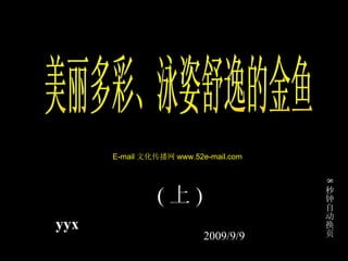 美丽多彩、泳姿舒逸的金鱼 ( 上 ) yyx 2009/9/9 8 秒钟自动换页 E-mail 文化传播网 www.52e-mail.com 