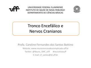 Tronco Encefálico e
Nervos Cranianos
UNIVERSIDADE FEDERAL FLUMINENSE
INSTITUTO DE SAUDE DE NOVA FRIBURGO
DEPARTAMENTO DE CIÊNCIAS BÁSICAS
Profa. Caroline Fernandes dos Santos Bottino
Website: www.neurocienciasdescomplicada.uff.br
Twitter: @Neuro_ISNF_UFF #neuroticosuff
E-mail: cf_santos@id.uff.br
 
