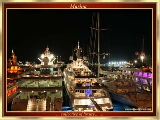 Marina




... collective of luxury… ...
 
