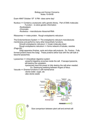 Biology and Human Concerns
                                Notes 10-09-09

Exam 4M47 October 19th 6 PM– class same day!

Nucleus => Contains a eukaryotic cell’s genetic library. Part of DNA molecules
            Function – to store genetic information
      -Nucleoplasm
      -Chromatin
      -Nucleolus – manufactures ribosomal RNA

Ribosomes => make protein. Rough endoplasmic reticulium

The Endomembrane System => The endoplasmic reticulum manufactures
membranes and performs many other biosynthetic functions.
      Smooth endoplasmic reticulium => break molecules down
      Rough endoplasmic reticulium => forms network of tubules, vesicles
(Page 60)
      Golgi apparatus finishes, sorts and ships cell products. Ex. Factory. Fully
formed proteins leave the Golgi. These proteins either fuse with the cell wall or
become lysosomes.

Lysosomes => intracellular digestive system
            -powerful digestive enzymes inside the cell. If escape lysosome,
            will destroy the cytoplasm.
            -lysosomes have the power to fully destroy the cell when needed.
                   Ex. Destroying webbing between fingers of fetus.
Vacuole => Diverse functions in cell maintenance
            -stores water, sugar, etc
            -also stores waste




                     Size comparison between plant cell and animal cell
 