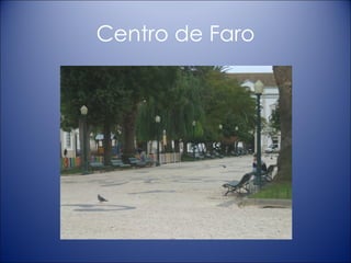Centro de Faro