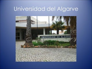 Universidad del Algarve