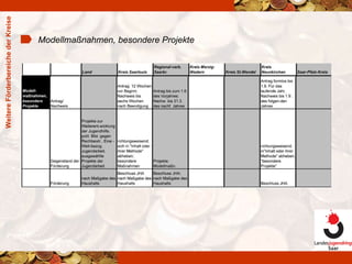 Weitere Förderbereiche der Kreise Modellmaßnahmen, besondere Projekte 