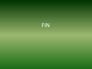 FIN 