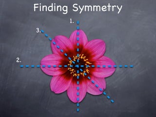 Finding Symmetry
           1.
     3.



2.
 