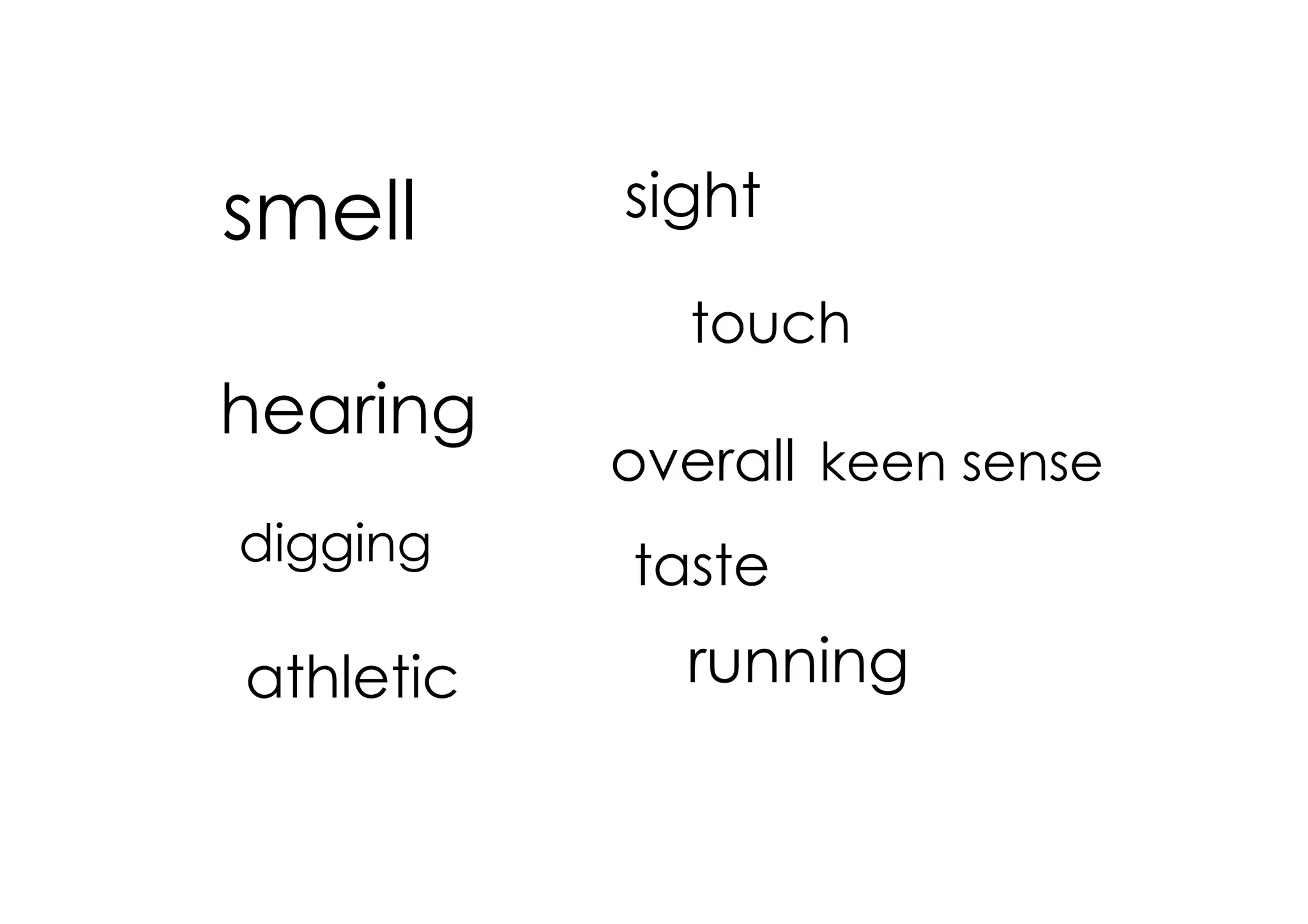 smell      sight

             touch
hearing
           overall keen sense
digging    taste
athletic     running
 