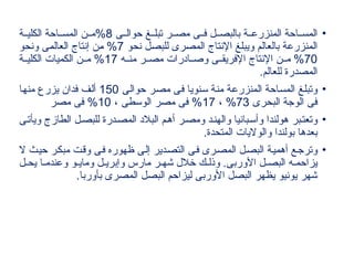 •
‫ى‬ ‫حوال‬ ‫غ‬ ‫تبل‬ ‫ر‬ ‫مص‬ ‫ى‬ ‫ف‬ ‫ل‬ ‫بالبص‬ ‫ة‬ ‫المنزرع‬ ‫احة‬ ‫المس‬
8
‫ة‬ ‫الكلي‬ ‫احة‬ ‫المس‬ ‫ن‬ ‫م‬%
‫نحو‬ ‫للبصل‬ ‫المصرى‬ ‫اإلنتاج‬ ‫ويبلغ‬ ‫بالعالم‬ ‫المنزرعة‬
7
‫ونحو‬ ‫العالمى‬ ‫إنتاج‬ ‫من‬ %
70
‫ه‬ ‫من‬ ‫ر‬ ‫مص‬ ‫ادرات‬ ‫وص‬ ‫ى‬ ‫اإلفريق‬ ‫اإلنتاج‬ ‫ن‬ ‫م‬ %
17
‫ة‬ ‫الكلي‬ ‫الكميات‬ ‫ن‬ ‫م‬ %
.‫للعالم‬ ‫المصدرة‬
•
‫سنويا‬ ‫منة‬ ‫المنزرعة‬ ‫المساحة‬ ‫وتبلغ‬
‫مصر‬ ‫فى‬
‫حوالى‬
150
‫منها‬ ‫يزرع‬ ‫فدان‬ ‫ألف‬
‫البحرى‬ ‫الوجة‬ ‫فى‬
73
، %
17
، ‫الوسطى‬ ‫مصر‬ ‫فى‬ %
10
‫مصر‬ ‫فى‬ %
•
‫ى‬‫ويأت‬ ‫الطازج‬ ‫ل‬‫للبص‬ ‫درة‬‫المص‬ ‫البالد‬ ‫م‬‫أه‬ ‫ر‬‫ومص‬ ‫د‬‫والهن‬ ‫بانيا‬‫وأس‬ ‫هولندا‬ ‫بر‬‫وتعت‬
.‫المتحدة‬ ‫والواليات‬ ‫بولندا‬ ‫بعدها‬
•
‫ال‬ ‫حيث‬ ‫مبكر‬ ‫وقت‬ ‫فى‬ ‫ظهوره‬ ‫إلى‬ ‫التصدير‬ ‫فى‬ ‫المصرى‬ ‫البصل‬ ‫أهمية‬ ‫وترجع‬
‫يزاحم‬
‫ه‬
‫و‬ ‫وماي‬ ‫ل‬ ‫وإبري‬ ‫مارس‬ ‫ر‬ ‫شه‬ ‫خالل‬ ‫ك‬ ‫وذل‬ .‫األوربى‬ ‫ل‬ ‫البص‬
‫و‬
‫ل‬ ‫يح‬ ‫ا‬ ‫عندم‬
.‫بأوربا‬ ‫المصرى‬ ‫البصل‬ ‫ليزاحم‬ ‫األوربى‬ ‫البصل‬ ‫يظهر‬ ‫يونيو‬ ‫شهر‬
 