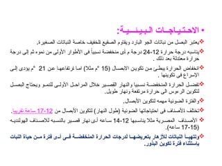 •
‫االح‬
‫ـ‬
:‫الـبـيـئـــيـة‬ ‫تـيـاجــات‬

‫الصغيرة‬ ‫النباتات‬ ‫خاصة‬ ‫الخفيف‬ ‫الصقيع‬ ‫ويقاوم‬ ‫البارد‬ ‫الجو‬ ‫نباتات‬ ‫من‬ ‫البصل‬ ‫يعتبر‬
.

‫حرارة‬ ‫درجة‬ ‫يناسبه‬
12
-
24
‫درجة‬ ‫إلى‬ ‫ثم‬ ‫نموه‬ ‫من‬ ‫األولى‬ ‫األطوار‬ ‫فى‬ ً‫ا‬‫نسبي‬ ‫منخفضة‬ ‫أى‬ ‫م‬ ‫درجة‬
. ‫ذلك‬ ‫بعد‬ ‫معتدلة‬ ‫حرارة‬

( ‫ال‬ ‫االبص‬ ‫ن‬ ‫تكوي‬ ‫ن‬ ‫م‬ ‫ئ‬ ‫يبط‬ ‫الحرارة‬ ‫انخفاض‬
15
‫ن‬ ‫ع‬ ‫ا‬ ‫ارتفاعه‬ ‫ا‬ ‫ام‬ )‫مثال‬ ‫م‬°
21
‫ى‬ ‫إل‬ ‫يؤدى‬ ‫م‬°
‫تكوينها‬ ‫فى‬ ‫اإلسراع‬
.

‫ل‬ ‫البص‬ ‫ويحتاج‬ ‫و‬ ‫للنم‬ ‫ى‬ ‫األول‬ ‫ل‬ ‫المراح‬ ‫خالل‬ ‫ير‬ ‫القص‬ ‫والنهار‬ ‫بيا‬ ‫نس‬ ‫ة‬ ‫المنخفض‬ ‫الحرارة‬ ‫ل‬ ‫تفض‬
.‫طويل‬ ‫ونهار‬ ‫مرتفعة‬ ‫حرارة‬ ‫الى‬ ‫الرءوس‬ ‫لتكوين‬

‫األبصال‬ ‫لتكوين‬ ‫مهمه‬ ‫الضوئية‬ ‫والفترة‬
.

‫من‬ ‫األبصال‬ ‫لتكوين‬ )‫النهار‬ ‫(طول‬ ‫الضوئية‬ ‫احتياجاتها‬ ‫فى‬ ‫األصناف‬ ‫تختلف‬
12
-
17
‫تقريبا‬ ‫ساعة‬
.

‫بها‬ ‫يناس‬ ‫مثال‬ ‫رية‬ ‫المص‬ ‫ناف‬ ‫األص‬
12
-
14
‫ه‬ ‫الهولندي‬ ‫ناف‬ ‫لالص‬ ‫به‬ ‫بالنس‬ ‫ير‬ ‫قص‬ ‫نهار‬ ‫ى‬ ‫أ‬ ‫اعه‬ ‫س‬
(
15
-
17
.)‫ساعه‬

‫النبات‬ ‫حياة‬ ‫مــن‬ ‫فترة‬ ‫ـى‬‫ـ‬‫ـ‬‫أ‬ ‫ـى‬‫ـ‬‫ـ‬‫ف‬ ‫ـة‬‫ـ‬‫ـ‬‫المنخفض‬ ‫الحرارة‬ ‫لدرجات‬ ‫بتعريضهـــا‬ ‫لألزهار‬ ‫النباتات‬ ‫وتتهيـــأ‬
.‫البذور‬ ‫تكوين‬ ‫فترة‬ ‫بإستثناء‬
 