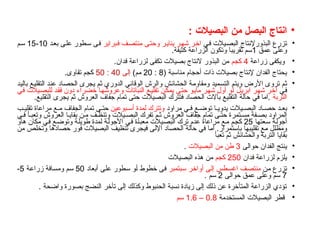 •
‫ا‬
: ‫البصيالت‬ ‫من‬ ‫البصل‬ ‫نتاج‬
•
‫في‬ ‫البصيالت‬ ‫البذورإلنتاج‬ ‫تزرع‬
‫فبراير‬ ‫منتصف‬ ‫وحتى‬ ‫يناير‬ ‫شهر‬ ‫اخر‬
‫بعد‬ ‫على‬ ‫سطور‬ ‫فى‬
10
-
15
‫سم‬
‫عمق‬ ‫وعلى‬
1
‫كثيفة‬ ‫الزراعة‬ ‫وتكون‬ ‫تقريبا‬ ‫سم‬
.
•
‫زراعة‬ ‫ويكفى‬
4
‫كجم‬
.‫فدان‬ ‫لزراعة‬ ‫تكفى‬ ‫بصيالت‬ ‫النتاج‬ ‫البذور‬ ‫من‬
•
( ‫مناسبة‬ ‫أحجام‬ ‫ذات‬ ‫بصيالت‬ ‫إلنتاج‬ ‫الفدان‬ ‫يحتاج‬
8
:
20
)‫مم‬
‫إلى‬
40
:
50
‫كجم‬
‫تقاوى‬
.
•
‫باليد‬ ‫التقليع‬ ‫عند‬ ‫الحصاد‬ ‫يجرى‬ ‫ثم‬ ‫الدوري‬ ‫الوقائي‬ ‫والرش‬ ‫الحشائش‬ ‫ومقاومة‬ ‫التسميد‬ ‫ويتم‬ ‫األرض‬ ‫تروى‬ ‫ثم‬
‫في‬
‫في‬ ‫للبصيالت‬ ‫فقد‬ ‫دون‬ ‫خضراء‬ ‫وعروشها‬ ‫النباتات‬ ‫تقليع‬ ‫يمكن‬ ‫حتى‬ ‫مايو‬ ‫شهر‬ ‫أول‬ ‫أو‬ ‫ابريل‬ ‫شهر‬ ‫أخر‬
‫التربة‬
‫التقليع‬ ‫يجرى‬ ‫ثم‬ ‫العروش‬ ‫جفاف‬ ‫تمام‬ ‫حتى‬ ‫البصيالت‬ ‫فتترك‬ ‫الحصاد‬ ‫بآالت‬ ‫التقليع‬ ‫حالة‬ ‫في‬ ‫اما‬.
.
•
‫مراود‬ ‫ي‬ ‫ف‬ ‫ع‬ ‫توض‬ ‫ا‬ ‫يدوي‬ ‫يالت‬ ‫البص‬ ‫اد‬ ‫حص‬ ‫د‬ ‫بع‬
‫بوعين‬ ‫أس‬ ‫لمدة‬ ‫وتترك‬
‫ب‬ ‫تقلي‬ ‫مراعاة‬ ‫ع‬ ‫م‬ ‫الجفاف‬ ‫تمام‬ ‫ى‬ ‫حت‬
‫ي‬ ‫ف‬ ‫أ‬ ‫وتعب‬ ‫العروش‬ ‫ا‬ ‫بقاي‬ ‫ن‬ ‫م‬ ‫ف‬ ‫وتنظ‬ ‫يالت‬ ‫البص‬ ‫تفرك‬ ‫م‬ ‫ث‬ ‫العروش‬ ‫جفاف‬ ‫تمام‬ ‫ى‬ ‫حت‬ ‫تمرة‬ ‫مس‬ ‫فة‬ ‫بص‬ ‫المراود‬
‫سعتها‬ ‫أجولة‬
25
‫هاو‬ ‫مكان‬ ‫في‬ ‫وتوضع‬ ‫طويلة‬ ‫لمدة‬ ‫األجولة‬ ‫في‬ ‫معبأة‬ ‫البصيالت‬ ‫ترك‬ ‫عدم‬ ‫مراعاة‬ ‫مع‬ ‫كجم‬
‫من‬ ‫وتخلص‬ ‫حصادها‬ ‫فور‬ ‫البصيالت‬ ‫تنظيف‬ ‫فيجرى‬ ‫اإللى‬ ‫الحصاد‬ ‫حالة‬ ‫في‬ ‫أما‬ .‫بإستمرار‬ ‫تقليبها‬ ‫مع‬ ‫ومظلل‬
‫تعبأ‬ ‫ثم‬ ‫والحشائش‬ ‫التربة‬ ‫بقايا‬
•
‫حوالى‬ ‫الفدان‬ ‫ينتج‬
3
‫البصيالت‬ ‫من‬ ‫طن‬
.
•
‫فدان‬ ‫لزراعة‬ ‫يلزم‬
250
‫كجم‬
‫البصيالت‬ ‫هذه‬ ‫من‬
•
‫من‬ ‫تزرع‬
‫سبتمبر‬ ‫أواخر‬ ‫إلى‬ ‫اغسطس‬ ‫منتصف‬
‫أبعاد‬ ‫على‬ ‫سطور‬ ‫أو‬ ‫خطوط‬ ‫فى‬
50
‫زراعة‬ ‫ومسافة‬ ‫سم‬
5
-
7
‫حوالى‬ ‫عمق‬ ‫وعلى‬ ‫سم‬
2
‫سم‬
.
•
. ‫واضحة‬ ‫بصورة‬ ‫النضج‬ ‫تأخر‬ ‫إلى‬ ‫وكذلك‬ ‫الحنبوط‬ ‫نسبة‬ ‫زيادة‬ ‫إلى‬ ‫ذلك‬ ‫عن‬ ‫المتأخرة‬ ‫الزراعة‬ ‫تؤدي‬
•
‫المستخدمة‬ ‫البصيالت‬ ‫قطر‬
0.8
–
1.6
‫سم‬
 