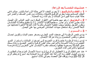 •
‫ع‬
:‫الزراعة‬ ‫بعد‬ ‫الـخـدمـــة‬ ‫ـمـلـــيـات‬
•
1
: ‫والـــتـرقــيـع‬ ‫الخـف‬ –
‫ى‬‫ف‬ ‫مباشرة‬ ‫بالبذور‬ ‫ة‬ ‫الزراع‬ ‫ة‬ ‫حال‬ ‫ى‬ ‫ف‬ ‫اال‬ ‫ف‬‫الخ‬ ‫يجرى‬ ‫ال‬
‫ى‬ ‫ف‬ ‫ر‬ ‫والعم‬ ‫نف‬ ‫الص‬ ‫س‬ ‫نف‬ ‫ن‬ ‫م‬ ‫وبشتالت‬ ‫كالمعتاد‬ ‫ع‬ ‫الترقي‬ ‫يجرى‬ ‫ا‬ ‫بينم‬ ‫تديم‬ ‫المس‬ ‫ل‬ ‫الحق‬
. ‫المحاياه‬ ‫ريه‬ ‫أثناء‬ ‫يتم‬ ‫و‬ ‫النباتات‬ ‫من‬ ‫كبيرة‬ ‫نسبة‬ ‫غياب‬ ‫حالة‬
•
2
‫ــعـزيـــق‬‫ـ‬‫ال‬ –
:
‫البصل‬ ‫ألن‬ ‫النباتى‬ ‫النمو‬ ‫من‬ ‫المبكرة‬ ‫االطوار‬ ‫فى‬ ‫خاصة‬ ‫مهم‬ ‫وهو‬
‫ش‬ ‫الحشائ‬ ‫ة‬ ‫منافس‬ ‫تطيع‬ ‫يس‬ ‫وال‬ ‫االنتشار‬ ‫ة‬ ‫قليل‬ ‫طحية‬ ‫س‬ ‫جذور‬ ‫وذو‬ ‫و‬ ‫النم‬ ‫ئ‬ ‫بط‬ ‫نبات‬
‫من‬ ‫لحمايتها‬ ‫األخيرة‬ ‫العزقة‬ ‫أثناء‬ ‫بالتربة‬ ‫األبصال‬ ‫تغطية‬ ‫ويجب‬ ‫سطحيا‬ ‫العزيق‬ ‫ويكون‬
.‫البصل‬ ‫على‬ ‫بها‬ ‫الموصى‬ ‫الحشائش‬ ‫مبيدات‬ ‫تستعمل‬ ‫وقد‬ .‫الشمس‬ ‫آشعة‬
•
3
: ‫الــــــــرى‬ –
•
‫ال‬‫ابص‬ ‫ن‬ ‫وتكوي‬ ‫النبات‬ ‫م‬‫حج‬ ‫غر‬‫وص‬ ‫الجذرى‬ ‫و‬‫النم‬ ‫ف‬‫ضع‬ ‫ى‬‫إل‬ ‫ة‬‫الرطوب‬ ‫ص‬ ‫نق‬ ‫يؤدى‬
‫االبصال‬ ‫حرافه‬ ‫وزيادة‬ ‫المحصول‬ ‫ونقص‬ ‫صغيره‬
.
•
‫و‬ ‫النم‬ ‫تمرار‬ ‫واس‬ ‫النباتات‬ ‫فرار‬ ‫إص‬ ‫ى‬ ‫إل‬ ‫ج‬ ‫النض‬ ‫قرب‬ ‫ة‬ ‫خاص‬ ‫ة‬ ‫الرطوب‬ ‫زيادة‬ ‫تؤدى‬
‫مك‬ ‫س‬ ‫وزيادة‬ ‫ج‬ ‫النض‬ ‫ر‬ ‫وتأخي‬ ‫ة‬ ‫الرقب‬ ‫ن‬ ‫عف‬ ‫ل‬ ‫مث‬ ‫باألمراض‬ ‫ابة‬ ‫االص‬ ‫وزيادة‬ ‫الخضرى‬
‫ة‬ ‫فرص‬ ‫وزيادة‬ ‫ن‬ ‫التخزي‬ ‫ى‬ ‫عل‬ ‫ال‬‫األبص‬ ‫مقدرة‬ ‫ف‬ ‫وضع‬ ‫ا‬‫جفافه‬ ‫عوبة‬ ‫وص‬ ‫لة‬ ‫البص‬ ‫ق‬ ‫عن‬
.‫التخزين‬ ‫أثناء‬ ‫باألمراض‬ ‫اصابتها‬
•
.‫والمقشورة‬ ‫المزدوجة‬ ‫األبصال‬ ‫نسبة‬ ‫تزيد‬ )‫الرى‬ ‫ثم‬ ‫التعطيش‬ ( ‫الرى‬ ‫انتظام‬ ‫عدم‬ ‫عند‬
‫الرى‬ ‫ينظم‬ ‫ثم‬ ‫اسبوع‬ ‫بعد‬ ‫المحاياة‬ ‫ريه‬ ‫ثم‬ ‫الشتل‬ ‫عند‬ ‫الزراعة‬ ‫ريه‬ ‫الفتيل‬ ‫البصل‬ ‫ويروى‬
‫كل‬
15
-
20
.‫أسابيع‬ ‫ثالث‬ ‫بحوإلى‬ ‫الحصاد‬ ‫قبل‬ ‫ويوقف‬ ‫يوما‬
 