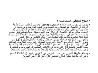 •
: ‫والـتــخـزيــــن‬ ‫التجفيفى‬ ‫العالج‬
•
( ‫التجفيفى‬ ‫العالج‬ ‫عمليه‬ ‫تجرى‬ ‫أن‬ ‫ويجب‬
Curing
)
‫الرطوبة‬ ‫من‬ ‫التخلص‬ ‫بغرض‬
‫فى‬ ‫مهمه‬ ‫وهى‬ ‫الخارجية‬ ‫وحراشيفها‬ ‫البصلة‬ ‫رقبه‬ ‫تجفيف‬ ‫مع‬ ‫األبصال‬ ‫فى‬ ‫الزائدة‬
‫بعد‬ ‫وتجرى‬ .‫الرقبة‬ ‫عفن‬ ‫خاصة‬ ‫باألمراض‬ ‫اإلصابة‬ ‫فرصه‬ ‫من‬ ‫تقلل‬ ‫ألنها‬ ‫التخزين‬
‫بعضها‬ ‫فوق‬ ‫توضع‬ ‫حيث‬ ‫مظلل‬ ‫التهويه‬ ‫جيد‬ ‫مكان‬ ‫إلى‬ ‫االبصال‬ ‫وتنقل‬ ‫مباشره‬ ‫الحصاد‬
‫وتترك‬ ‫الشمس‬ ‫للفحه‬ ‫التتعرض‬ ‫حتى‬ ‫االبصال‬ ‫تغطيه‬ ‫مع‬ ‫مراود‬ ‫فى‬ ‫متر‬ ‫نصف‬ ‫بارتفاع‬
‫لمدة‬
2
-
3
‫الطين‬ ‫كتل‬ ‫من‬ ‫التخلص‬ ‫ويتم‬ ‫الفرز‬ ‫عمليات‬ ‫ذلك‬ ‫بعد‬ ‫وتبدأ‬ ‫أسابيع‬
‫بطول‬ ‫األعناق‬ ‫بقطع‬ ‫المحصول‬ ‫ويجهز‬ ‫الساقطه‬ ‫الخارجيه‬ ‫والحراشيف‬
1
-
1.5
‫سم‬
‫والمخالفه‬ ‫المفتوحه‬ ‫والمزدوجه‬ ‫المقفوله‬ ‫المزدوجه‬ ‫واالبصال‬ ‫الحنبوط‬ ‫األبصال‬ ‫وتفرز‬
‫والمصابة‬ ‫العرقانة‬ ‫أو‬ ‫والساخنه‬ ‫الشكل‬ ‫منتظمه‬ ‫وغير‬ ‫السميكه‬ ‫االعناق‬ ‫وذات‬ ‫اللون‬ ‫فى‬
‫والمقشورة‬ ‫والمجروحة‬ ‫والمكسورة‬ ‫األنبات‬ ‫فى‬ ‫بدأت‬ ‫والتى‬ )‫(المسلوقه‬ ‫الشمس‬ ‫بلفحه‬
.‫والمتعفنه‬ ‫باألمراض‬ ‫والمصابه‬ )‫(البلحه‬ ‫والمسحوبه‬ )‫(الخضراء‬ ‫النضج‬ ‫تامه‬ ‫وغير‬
•
‫النضج‬ ‫المكتملة‬ ‫واألبصال‬ ‫التخزين‬ ‫من‬ ‫الغرض‬ ‫حسب‬ ‫على‬ ‫التخزين‬ ‫طريقة‬ ‫وتختلف‬
.‫التخزين‬ ‫على‬ ‫قدرة‬ ‫أكثر‬ ‫تكون‬ ‫التجفيفى‬ ‫العالج‬ ‫عملية‬ ‫لها‬ ‫أجريت‬ ‫والتى‬
 