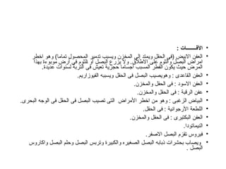 •
: ‫اآلفــــــــات‬
•
‫اخطر‬ ‫وهو‬ )‫تماما‬ ‫المحصول‬ ‫تدمير‬ ‫ويسبب‬ ‫المخزن‬ ‫إلى‬ ‫ويمتد‬ ‫الحقل‬ ‫(فى‬ ‫االبيض‬ ‫العفن‬
‫بهذا‬ ‫موبوءة‬ ‫أرض‬ ‫فى‬ ‫الثوم‬ ‫أو‬ ‫البصل‬ ‫يزرع‬ ‫وال‬ .‫االطالق‬ ‫على‬ ‫والثوم‬ ‫البصل‬ ‫امراض‬
.‫عديدة‬ ‫لسنوات‬ ‫التربة‬ ‫فى‬ ‫تعيش‬ ‫حجرية‬ ‫أجساما‬ ‫المسبب‬ ‫الفطر‬ ‫يكون‬ ‫حيث‬ ‫المرض‬
•
.‫الفيوزاريم‬ ‫ويسببه‬ ‫الحقل‬ ‫فى‬ ‫البصل‬ ‫وهويصيب‬ : ‫القاعدى‬ ‫العفن‬
•
.‫والمخزن‬ ‫الحقل‬ ‫فى‬ : ‫االسود‬ ‫العفن‬
•
.‫والمخزن‬ ‫الحقل‬ ‫فى‬ : ‫الرقبة‬ ‫عفن‬
•
.‫البحرى‬ ‫الوجه‬ ‫فى‬ ‫الحقل‬ ‫فى‬ ‫البصل‬ ‫تصيب‬ ‫التى‬ ‫األمراض‬ ‫اخطر‬ ‫من‬ ‫وهو‬ : ‫الزغبى‬ ‫البياض‬
•
.‫الحقل‬ ‫فى‬ : ‫األرجوانية‬ ‫اللطعة‬
•
.‫والمخزن‬ ‫الحقل‬ ‫فى‬ : ‫البكتيرى‬ ‫العفن‬
•
.‫النيماتودا‬
•
.‫االصفر‬ ‫البصل‬ ‫تقزم‬ ‫فيروس‬
•
‫واكاروس‬ ‫البصل‬ ‫وحلم‬ ‫البصل‬ ‫وتربس‬ ‫والكبيرة‬ ‫الصغيره‬ ‫البصل‬ ‫ذبابه‬ ‫بحشرات‬ ‫ويصاب‬
. ‫البصل‬
 