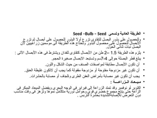 •
‫وتسمى‬ ‫العادية‬ ‫الطريقة‬
Seed –Bulb – Seed
•
‫تزرع‬ ‫ثم‬ ‫أبصال‬ ‫على‬ ‫للحصول‬ ‫البذور‬ ‫أوال‬ ‫تزرع‬ ‫للتقاوى‬ ‫البصل‬ ‫بذور‬ ‫على‬ ‫وللحصول‬
‫ألن‬ ‫زراعييين‬ ‫موسمين‬ ‫الى‬ ‫الطريقة‬ ‫هذه‬ ‫وتحتاج‬ ‫البذور‬ ‫محصول‬ ‫على‬ ‫للحصول‬ ‫األبصال‬
.‫الحول‬ ‫ثنائى‬ ‫نبات‬ ‫البصل‬
•
‫الطريقة‬ ‫هذه‬ ‫يلزم‬
1.5
–
2
: ‫اآلتى‬ ‫األبصال‬ ‫هذه‬ ‫فى‬ ‫ويشترط‬ ‫للفدان‬ ‫كتقاوى‬ ‫األبصال‬ ‫من‬ ‫طن‬
•
‫حوإلى‬ ‫البصلة‬ ‫قطر‬ ‫يبلغ‬
4
-
7
.‫الحجم‬ ‫صغيرة‬ ‫االبصال‬ ‫وتستبعد‬ ‫سم‬
•
.‫واللون‬ ‫الشكل‬ ‫حيث‬ ‫من‬ ‫الصنف‬ ‫لمواصفات‬ ‫مطابقة‬ ‫األبصال‬ ‫تكون‬ ‫أن‬
•
.‫العنق‬ ‫غليظة‬ ‫التكون‬ ‫أن‬ ‫يجب‬ ‫كما‬ ‫مقفولة‬ ‫مزدوجة‬ ‫أو‬ ‫مفتوحة‬ ‫مزدوجة‬ ‫غير‬ ‫تكون‬ ‫أن‬
•
.‫بالحشرات‬ ‫مصابة‬ ‫أو‬ ‫والجاف‬ ‫الطرى‬ ‫العفن‬ ‫بأمراض‬ ‫مصابة‬ ‫غير‬ ‫تكون‬ ‫أن‬ ‫يجب‬
•
: ‫الــزراعــــة‬ ‫مـيــعـاد‬
•
‫فى‬ ‫المبكر‬ ‫الميعاد‬ ‫ويفضل‬ ‫البحرى‬ ‫الوجه‬ ‫فى‬ ‫فبراير‬ ‫إلى‬ ‫الزراعة‬ ‫تمتد‬ ‫وقد‬ ‫نوفمبر‬ ‫أو‬ ‫اكتوبر‬
‫مناسب‬ ‫وقت‬ ‫فى‬ ‫وتزهز‬ ‫نموها‬ ‫متكامل‬ ‫نورية‬ ‫وحوامل‬ ‫قوى‬ ‫خضرى‬ ‫مجموع‬ ‫ينتج‬ ‫حتى‬ ‫الزاعة‬
. ‫التربس‬ ‫بحشرة‬ ‫لإلصابةالشديدة‬ ‫التعرض‬ ‫دون‬
 