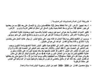 •
: ‫الــرعــايــــة‬ ‫وعـمـلــيـات‬ ‫الــزراعــة‬ ‫طــريـقـة‬
•
‫بمعدل‬ ‫تخطط‬ ‫للزراعة‬ ‫األرض‬ ‫تجهيز‬ ‫بعد‬ -‫أ‬
12
‫بعد‬ ‫على‬ ‫األبصال‬ ‫وتزرع‬ ‫قصبتين‬/‫خط‬
20
‫بعضها‬ ‫من‬ ‫سم‬
‫عمقها‬ ‫جور‬ ‫في‬
10
.‫األرض‬ ‫وتروى‬ ‫التربة‬ ‫تغطى‬ ‫ثم‬ ‫أسفل‬ ‫إلى‬ ‫الساق‬ ‫يكون‬ ‫بحيث‬ ‫الخط‬ ‫وسط‬ ‫في‬ ‫سم‬
•
‫الحشائش‬ ‫نقاوة‬ ‫وبعمليات‬ ‫الجيد‬ ‫بالتسميد‬ ‫العناية‬ ‫ويجب‬ ‫أسبوعين‬ ‫حوإلى‬ ‫بعد‬ ‫الخضرية‬ ‫النموات‬ ‫تظهر‬
.‫ويونيو‬ ‫مايو‬ ‫في‬ ‫البذور‬ ‫وتنضج‬ ‫وأبريل‬ ‫مارس‬ ‫في‬ ‫التزهير‬ ‫ويحدث‬ ‫والحشرات‬ ‫األمراض‬ ‫ومقاومة‬ ‫وإلى‬
•
‫يتضمن‬ ‫حتى‬ ‫النحل‬ ‫خاليا‬ ‫يوفر‬ ‫أن‬ ‫البذور‬ ‫منتج‬ ‫على‬ ‫يجب‬ ‫فانه‬ ‫الحشرات‬ ‫بواسطة‬ ‫خلطى‬ ‫التلقيح‬ ‫أن‬ ‫وبسبب‬
. ‫خليتين‬ ‫حوالى‬ ‫إلى‬ ‫الواحد‬ ‫الفدان‬ ‫يحتاج‬ ‫وعادة‬ .‫اإلنتاج‬ ‫وفرة‬
•
‫ويجب‬ ‫التلوين‬ ‫وتامة‬ ‫النضج‬ ‫كاملة‬ ‫البذور‬ ‫تظهر‬ ‫حيث‬ ‫التفتح‬ ‫فى‬ ‫الثمار‬ ‫بعض‬ ‫تبدأ‬ ‫عندما‬ ‫النورات‬ ‫تجمع‬
‫يزال‬ ‫وال‬ ‫ذلك‬ ‫قبل‬ ‫الحصاد‬ ‫فى‬ ‫التبكير‬ ‫عدم‬ ‫يجب‬ ‫كما‬ ‫باالنتثار‬ ‫البذور‬ ‫تفقد‬ ‫ال‬ ‫حتى‬ ‫الحصاد‬ ‫فى‬ ‫التأخير‬ ‫عدم‬
‫وتجرى‬ ‫دفعات‬ ‫على‬ ‫النورات‬ ‫تجمع‬ ‫وقد‬ ‫بعد‬ ‫نضجها‬ ‫اكتمل‬ ‫قد‬ ‫تكون‬ ‫ال‬ ‫البذور‬ ‫ألن‬ ‫أخضر‬ ‫النورات‬ ‫لون‬
‫طوله‬ ‫النورى‬ ‫الحامل‬ ‫من‬ ‫بجزء‬ ‫للنورات‬ ‫التقطيع‬ ‫عملية‬
4
-
6
‫مكان‬ ‫إلى‬ ‫تنقل‬ ‫ثم‬ ‫الباكر‬ ‫الصباح‬ ‫في‬ ‫سم‬
‫سمكها‬ ‫طبقة‬ ‫في‬ ‫تفرد‬ ‫حيث‬ ‫مفروش‬
12
‫من‬ ‫لمدة‬ ‫يوميا‬ ‫وتقلب‬ ‫لتجفيفها‬ ‫سم‬
2
–
3
‫جفافها‬ ‫يتم‬ ‫حتى‬ ‫أسابيع‬
‫أكياس‬ ‫في‬ ‫وتعبأ‬ ‫آليا‬ ‫أو‬ ‫يدويا‬ ‫وغربلتها‬ ‫تذريتها‬ ‫تجرى‬ ‫ثم‬ ‫بالعصى‬ ‫بالدق‬ ‫أو‬ ‫آليا‬ ‫ذلك‬ ‫بعد‬ ‫البذور‬ ‫تفصل‬ ‫ثم‬
‫للرطوبة‬ ‫منفذة‬ ‫غير‬
•
‫من‬ ‫الفدان‬ ‫محصول‬ ‫يبلغ‬
200
-
300
.‫واحدة‬ ‫سنة‬ ‫البذورلمدة‬ ‫وحيوية‬ ‫البذور‬ ‫من‬ ‫كجم‬
 