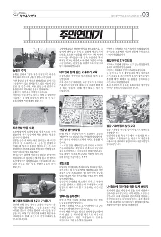 농활의 추억
농활은 언제나 그렇듯 몸은 힘들었지만 마음은
뿌듯하고 추억으로 남을 것 같은 시간입니다.
가장 좋았던 점은 새로운 선생님들을 알게 되고
그분들과 더 깊은 관계를 맺고 싶은 마음이 생긴
일인 것 같습니다. 처음 만났는데 번호따고
술한잔 하자 약속하신 분들도 있더라구요.
농활 같이 가신 분들 고생 많으셨습니다.
이번에는 인원 제한도 있어서 어쩔 수 없었지만
다음에는 동네에 모집해서 같이 갈 수 있는
분들과 함께 가면 좋겠다 싶습니다.
토종텃밭 땅콩 수확
토종텃밭에서 토종땅콩을 성공적으로 수확
했습니다. 우리 텃밭에서 처음 만나는 땅콩은
신기하기만 합니다.
땅콩은 심은 거 외에는 해준 일이 없는 게 미안할
정도로 잘 자라주었어요. 심은 건 몇개밖에
안되는데 땅에서 줄줄이 딸려나오는 건 그에
몇십배인지 모르겠습니다. 투입 대비 이렇게 많은
성과가 나오는게 또 있을까요?
캔다고 일이 끝난게 아닙니다. 땅콩은 잘 말려야
비린내가 나지 않는다는 얘기를 듣고 잘 씻어서
옥상에 말리기 시작했습니다. 아침 저녁으로 내다
널고 거두고 하는 일을 텃밭친구들이 같이
했습니다.
故김영애 대표님의 4주기 기념하기
2017년 10월 20일 우리는 소중한 사람과 너무
이른 이별을 했는데요, 그 날은 오늘보다 제법
따뜻한 것으로 기억을 합니다. 4주기일을 몇일
앞둔 지난 10월 17일 주민연대 유혜경 최영 두분
대표님들과 함께 용인으로 김영애대표님을
만나고 왔습니다.
김영애대표님은 평안한 안식을 찾으셨겠지요, 그
앞에서 남아있는 우리는 김영애 대표님과의
인연을, 소소한 사건들을 하나씩하나씩 꺼내며
이야기를 나누었습니다. 문득 누군가가 '우리
대표님 딱 50년 사셨네, 너무 빨리 가셨어. 아까운
사람인데'라는 혼잣말을 하셨고 모두가 맞다며
많이 아쉬워하였습니다.
대의원과 함께 듣는 기후위기 교육
자랑스러운 주민연대 대의원들과 함께 듣고
싶었습니다.
비록 온라인상에서지만, 16명 정도가 참석해서
기후위기의 심각성에 대해 듣고 우리가 함께 할
수 있는 일들 에 대해 생각 해보는 시간 이
되었습니다.
한글날 행안부활동
10월 9일은 한글날이라서 청년봉사 모임인
"행안부"에서는 한글날 기념 쿠키를 만들었답니다.
우리 글자가 디자인으로서의 가치도 충분한 거
같아요.
ㄱ.ㄴ.ㄷ만 만들 계획이었는데 심지어 ㅎ까지도
가능하더라구요. 계량하고 반죽하여 모양내고
굽고 초코액 발라서 아이들에게 전해주었답니다.
학교 졸업한 이후로 한글날을 이렇게 재미나게
보내 보기는 처음이라는. ㅎㅎㅎ
광진포럼
10월20일 주거문제를 주제로 10월 정례포럼 ‘우리,
광진구에서 살 수 있을까?’를 개최했습니다. 이번
포럼은 12일 개최되었던 ‘월 40만원에 침낭을
빌렸는데요’에 이은 주거문제를 주제로 한 두 번째
광진포럼인데요.
광진구의 주거난을 해소하기 위해 그 현황과
실태를 알아보고 광진구의 주거정책이 어떤
방향으로 나아가야 할지 토론하는 시간이었
습니다.
행복나눔농부장터
매월 세 번째 수요일, 홍천과 광진을 잇는 행복
나눔농부장터가 열립니다.
홍천에서 농산물 가지고 오셔서 판매하시고 남는
야채들이 생기면 곤란하곤 하지요.
하지만 어떤 의리있는 회원은 장터가 끝날때쯤에
와서 남은 걸 싹쓰리할 생각으로 이것저것
주 워 담 습니다. 매번 그랬습니다. 고마 운
회원이지요. 그런 분들 몇분 있습니다.
이번에는 후원받은 의류가 있어서 꽤 팔렸습니다.
수익금은 토종씨앗 기금과 민들레 후원금으로
나눠서 적립했답니다.
통일한마당 2차 강연회
지역에서 22년째 진행되어 오고 있는 통일한마당,
올해도 어김없이 열렸습니다.
이번에는 2차례의 강연이 주요한 내용입니다.
두 강의 모두 아주 좋았습니다. 핵심 질문들과
근거 자료들을 제시하면서 우리가 놓치고 있던
통일에 대한 제대로 된 관점을 짚어주시는
시간이어서 후련했답니다.
혹시 관심있으신 분들은 유튜브에서 ‘광진통일
한마당’ 검색하셔서 들으시면 됩니다.
집중 기후행동의 날(9.25)
집중 기후행동 주간을 맞아서 몇가지 캠페인을
진행했습니다.
한강시민공원 뚝섬지구에서 자전거를 타고
달리면서 자동차보다는 자전거와 대중교통
이용하기를 홍보하고 왕십리역에서 1인 피켓팅도
참여하였답니다.
UN총회에 미얀마를 위한 엽서 보내기
전세계의 많은 사람들이 힘을 모아 미얀마의
민주화를 부르짖었지만, 아직 해결은 요원한 것
같습니다. 이에 미얀마의 민주주의를 염원하는
주민연대 회원들이 9/20에 열리는 유엔 총회에
엽서를 보내기로 해서 회원들이 참여해주셨구요.
취합한 70여장의 엽서를 보냈답니다.
03
광진주민연대 소식지 2021.10-11
주민연대기
 