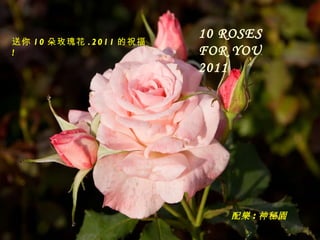 10 ROSES FOR YOU  2011 送你 10 朵玫瑰花 .20 11 的祝 福 ! 配 樂 : 神秘 園 