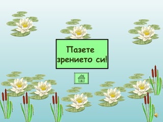 Пазете  зрението си! 