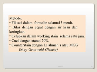 Metode: Fiksasi dalam  formalin selama15 menit. Bilas dengan cepat dengan air kran dan  keringkan. Celupkan dalam working stain  selama satu jam.  Cuci dengan etanol 70%. Counterstain dengan Leishman`s atau MGG (May -Grunwald-Giemsa) 09/14/11 