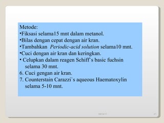 Metode: Fiksasi selama15 mnt dalam metanol. Bilas dengan cepat dengan air kran. Tambahkan  Periodic-acid solution  selama10 mnt. Cuci dengan air kran dan keringkan. Celupkan dalam reagen Schiff`s basic fuchsin  selama 30 mnt. 6. Cuci gengan air kran. 7. Counterstain Carazzi`s aqueous Haematoxylin  selama 5-10 mnt. 09/14/11 