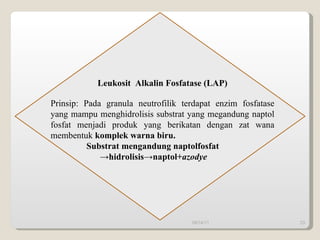 Leukosit  Alkalin Fosfatase (LAP) Prinsip: Pada granula neutrofilik terdapat enzim fosfatase yang mampu menghidrolisis substrat yang megandung naptol fosfat menjadi produk yang berikatan dengan zat wana membentuk  komplek warna biru. Substrat mengandung naptolfosfat -> hidrolisis->naptol+ azodye 09/14/11 