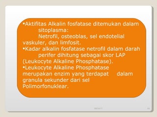 09/14/11 Aktifitas Alkalin fosfatase ditemukan dalam  sitoplasma: Netrofil, osteoblas, sel endotelial  vaskuler, dan limfosit. Kadar alkalin fosfatase netrofil dalam darah  perifer dihitung sebagai skor LAP  (Leukocyte Alkaline Phosphatase). Leukocyte Alkaline Phosphatase  merupakan enzim yang terdapat  dalam granula sekunder dari sel  Polimorfonuklear. 