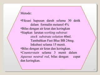 Metode: Fiksasi hapusan darah selama 30 detik  dalam  formalin metanol 4% Bilas dengan air kran dan keringkan Siapkan  larutan  working substrat:  stock  substrate solution  40ml. Tambahkan Fast Blue BB 24mg. Inkubasi selama 15 menit. Bilas dengan air kran dan keringkan. Counterstain  selama 3 menit dalam  Aqueous neutral red , bilas dengan  cepat dan keringkan. 09/14/11 