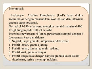 Interpretasi: Leukocyte  Alkaline Phosphatase (LAP) dapat diukur secara kasar dengan menentukan skor ukuran dan intensitas granula yang terwarnai. Normal :15-130, nilai yang mungkin mulai 0 maksimal 400 Penghitungan pada 100 sel netrofil Intensitas pewarnaan: 0 (tanpa pewarnaan) sampai dengan 4 (pewarnaan kuat dan dalam). 0  Negatif, tanpa granula, sitoplasma tidak tercat. 1  Positif lemah, granula jarang. 2  Positif lemah, jumlah granula  sedang. 3  Positif kuat, granula banyak. 4  Positif sangat kuat dengan banyak granula kasar dalam  sitoplasma, sering menutupi nukleus. 09/14/11 