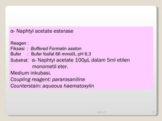 09/14/11 α- Naphtyl acetate esterase Reagen : Fiksasi  :  Buffered Formalin aseton Bufer  :   Bufer fosfat 66 mmol/L pH 6,3 Substrat :  α - Naphtyl acetate 100µL dalam 5ml etilen monometil eter. Medium inkubasi. Coupling reagent: pararosaniline Counterstain: aqueous haematoxylin 