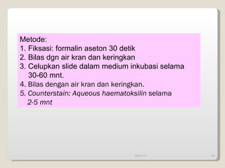 09/14/11 Metode: 1. Fiksasi: formalin aseton 30 detik 2. Bilas dgn air kran dan keringkan 3. Celupkan slide dalam medium inkubasi selama  30-60 mnt. 4. Bilas dengan air kran dan keringkan. 5. Counterstain: Aqueous haematoksilin  selama   2-5 mnt 