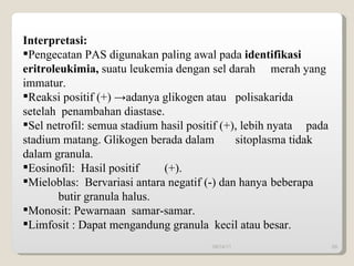 09/14/11 Interpretasi:   Pengecatan PAS digunakan paling awal pada  identifikasi  eritroleukimia,  suatu leukemia dengan sel darah  merah yang immatur. Reaksi positif (+) ->adanya glikogen atau  polisakarida  setelah  penambahan diastase.  Sel netrofil: semua stadium hasil positif (+), lebih nyata  pada stadium matang. Glikogen berada dalam  sitoplasma tidak dalam granula.  Eosinofil:  Hasil positif  (+). Mieloblas:  Bervariasi antara negatif (-) dan hanya  beberapa  butir granula halus.  Monosit: Pewarnaan  samar-samar.  Limfosit : Dapat mengandung granula  kecil atau besar.  