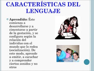 CARACTERÍSTICAS DEL LENGUAJE Aprendido:  Éste comienza a desarrollarse y a cimentarse a partir de la gestación, y se configura según la relación del individuo con el mundo que lo rodea (socialización). De este modo, aprende a emitir, a escuchar y a comprender ciertos sonidos y no otros 