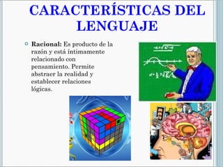 CARACTERÍSTICAS DEL LENGUAJE Racional:  Es producto de la razón y está íntimamente relacionado con pensamiento. Permite abstraer la realidad y establecer relaciones lógicas. 