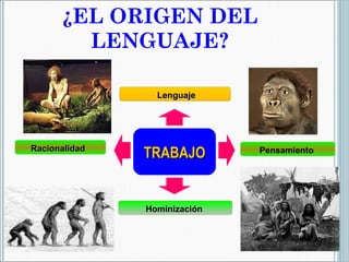 ¿EL ORIGEN DEL LENGUAJE? Lenguaje TRABAJO Hominización  Racionalidad  Pensamiento  