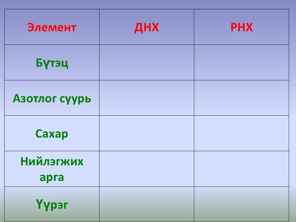 10 нуклейн хүчил