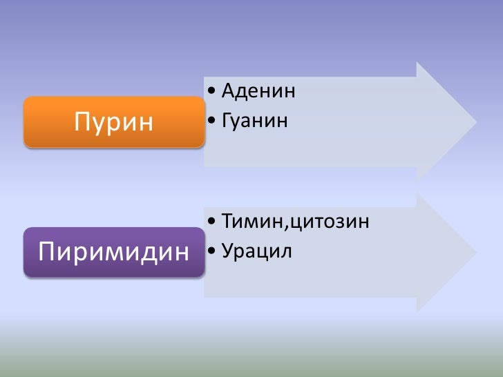 10 нуклейн хүчил