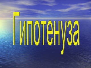 Гипотенуза 