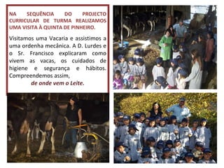 NA SEQUÊNCIA DO PROJECTO CURRICULAR DE TURMA REALIZAMOS UMA VISITA À QUINTA DE PINHEIRO. Visitamos uma Vacaria e assistimos a uma ordenha mecânica. A D. Lurdes e o Sr. Francisco explicaram como vivem as vacas, os cuidados de higiene e segurança e hábitos. Compreendemos assim,  de onde vem o Leite. 