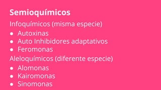 Semioquímicos
Infoquímicos (misma especie)
● Autoxinas
● Auto Inhibidores adaptativos
● Feromonas
Aleloquímicos (diferente especie)
● Alomonas
● Kairomonas
● Sinomonas
 