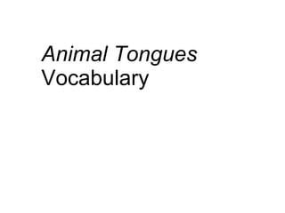 Animal Tongues Vocabulary 