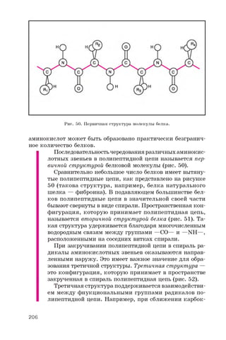 Рис. 50. Первичная структура молекулы белка.
аминокислот может быть образовано практически безгранич­
ное количество белков.
Последовательность чередования различных аминокис­
лотных звеньев в полипептидной цепи называется пер­
вичной структурой белковой молекулы (рис. 50).
Сравнительно небольшое число белков имеет вытяну­
тые полипептидные цепи, как представлено на рисунке
50 (такова структура, например, белка натурального
шелка — фиброина). В подавляющем большинстве бел­
ков полипептидные цепи в значительной своей части
бывают свернуты в виде спирали. Пространственная кон­
фигурация, которую принимает полипептидная цепь,
называется вторичной структурой белка (рис. 51). Та­
кая структура удерживается благодаря многочисленным
водородным связям между группами —CO— и —NH—,
расположенными на соседних витках спирали.
При закручивании полипептидной цепи в спираль ра­
дикалы аминокислотных звеньев оказываются направ­
ленными наружу. Это имеет важное значение для обра­
зования третичной структуры. Третичная структура —
это конфигурация, которую принимает в пространстве
закрученная в спираль полипептидная цепь (рис. 52).
Третичная структура поддерживается взаимодействи­
ем между фнукциональными группами радикалов по-
липептидной цепи. Например, при сближении карбок-
206
 