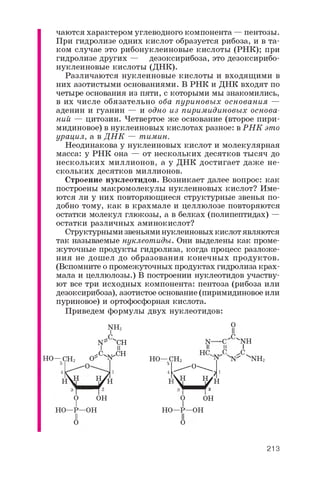 ho
чаются характером углеводного компонента — пентозы.
При гидролизе одних кислот образуется рибоза, и в та­
ком случае это рибонуклеиновые кислоты (РНК); при
гидролизе других — дезоксирибоза, это дезоксирибо­
нуклеиновые кислоты (ДНК).
Различаются нуклеиновые кислоты и входящими в
них азотистыми основаниями. В РНК и ДНК входят по
четыре основания из пяти, с которыми мы знакомились,
в их числе обязательно оба пуриновых основания —
аденин и гуанин — и одно из пиримидиновых основа­
ний — цитозин. Четвертое же основание (второе пири­
мидиновое) в нуклеиновых кислотах разное: в РН К это
урацил, а в Д Н К — тимин.
Неодинакова у нуклеиновых кислот и молекулярная
масса: у РНК она — от нескольких десятков тысяч до
нескольких миллионов, а у ДНК достигает даже не­
скольких десятков миллионов.
Строение нуклеотидов. Возникает далее вопрос: как
построены макромолекулы нуклеиновых кислот? Име­
ются ли у них повторяющиеся структурные звенья по­
добно тому, как в крахмале и целлюлозе повторяются
остатки молекул глюкозы, а в белках (полипептидах) —
остатки различных аминокислот?
Структурными звеньями нуклеиновых кислот являются
так называемые нуклеотиды. Они выделены как проме­
жуточные продукты гидролиза, когда процесс разложе­
ния не дошел до образования конечных продуктов.
(Вспомните о промежуточных продуктах гидролиза крах­
мала и целлюлозы.) В построении нуклеотидов участву­
ют все три исходных компонента: пентоза (рибоза или
дезоксирибоза), азотистое основание (пиримидиновое или
пуриновое) и ортофосфорная кислота.
Приведем формулы двух нуклеотидов:
- С Н 2
5
NH2
- С
N ch
I и
O*C- N CH
Д н ^ у Н 1
3 1 I 2
O о н0
1
ho—p —oh
НО—СН2
Н О *о о н
N
II
НС.
-С
о
II
С
NH
и I
С ^С
N ' N "'NH
0
1
ho—p —oh
о о
213
 