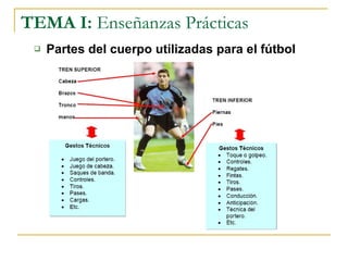 TEMA I:  Enseñanzas Prácticas Partes del cuerpo utilizadas para el fútbol 