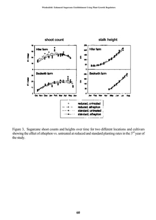 Wiedenfeld: Enhanced Sugarcane Esteblishment Using Plant Growth Regulators




                        shoot count                                           stalk height




Figure 3, Sugarcane shoot counts and heights over time for two different locations and cultivars
showing the effect of ethephon vs. untreated at reduced and standard planting rates in the 3rd year of
the study.




                                                        60
 