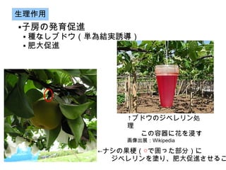 
ӷΰkM


     Nʤ֥ɥgYgT
     ʴM




                  ֥ɥΥ٥I
                  
                  ˻
                  չWikipedia

              ʥιǇä֣
              ٥TꡢʴM뤳
 